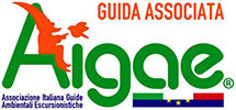 Logo AIGAE
